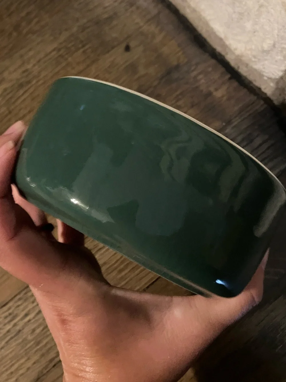 Mason Cash ceramic dog bowl featuring a Labrador retriever- Rare dark green